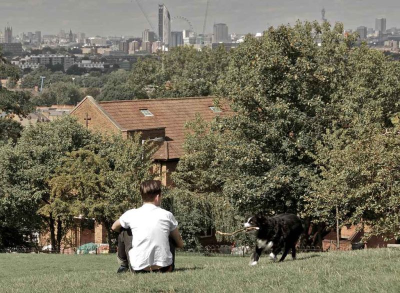 london skyline honor oak park2.jpg
